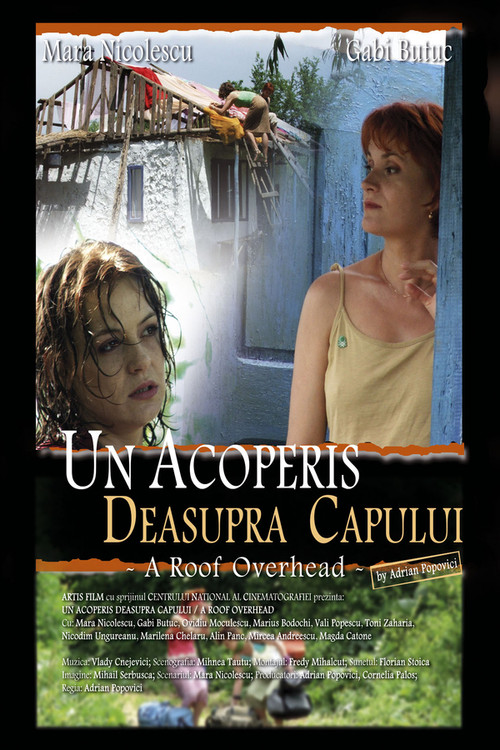 A Roof Overhead (2006) poster