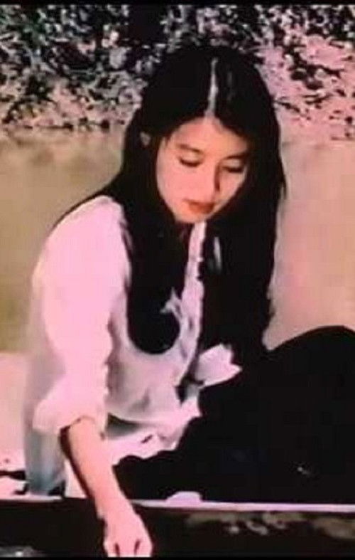 Nơi bình yên chim hót (1986) poster