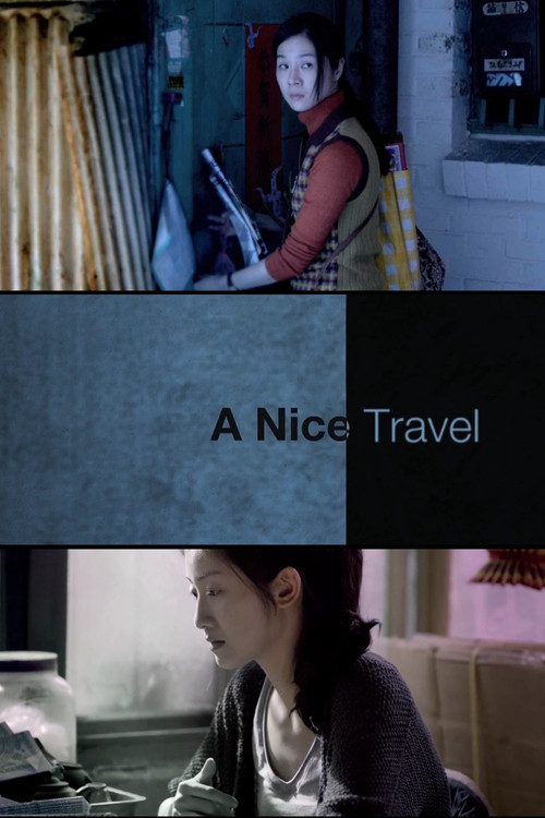 A Nice Travel (2013) poster