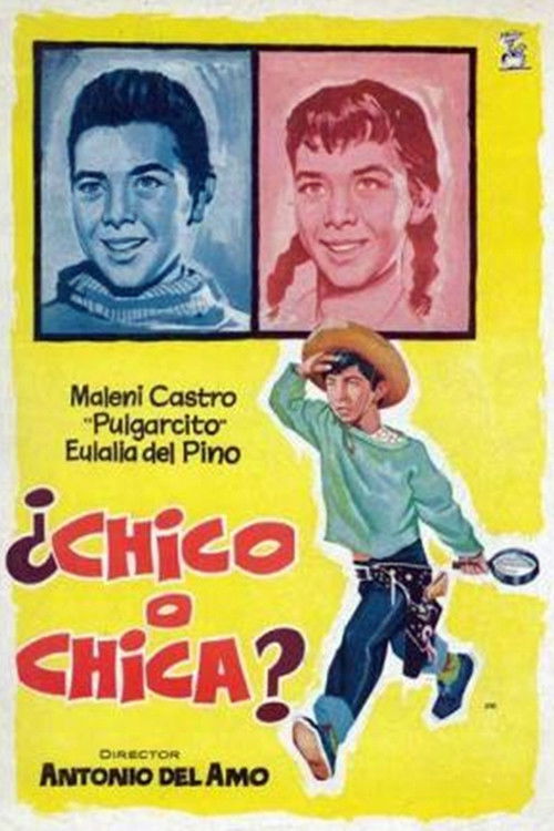 ¿Chico o chica? (1962) poster