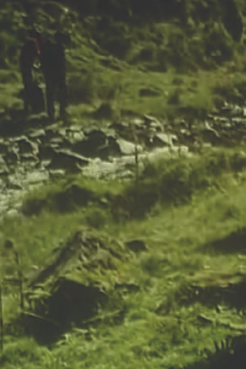 Temps couvert (1988) poster