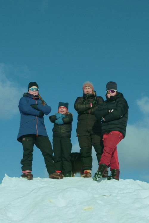 Svonni vs Skatteverket (2020) poster