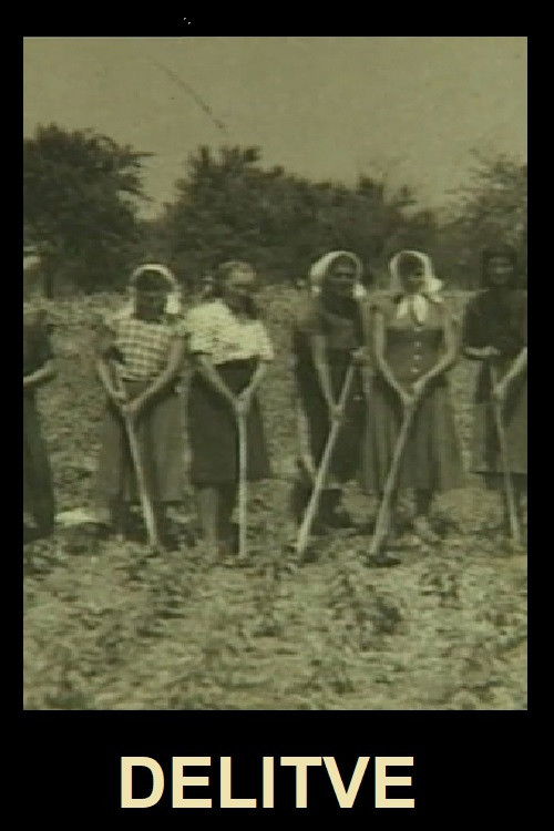 Divisions (2003) poster