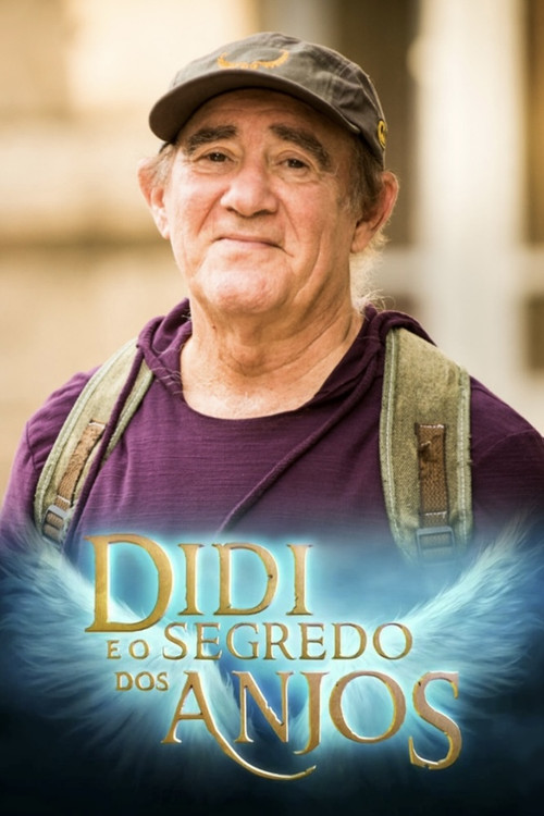 Didi e o Segredo dos Anjos (2014) poster
