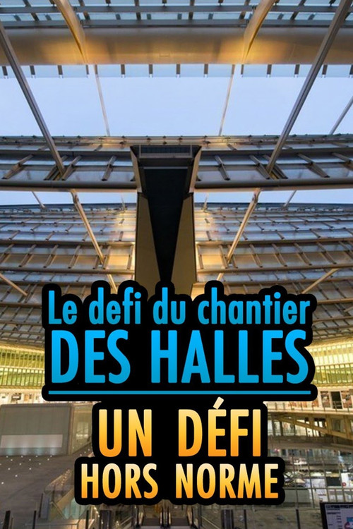 Le chantier des Halles : un défi hors norme (2018) poster