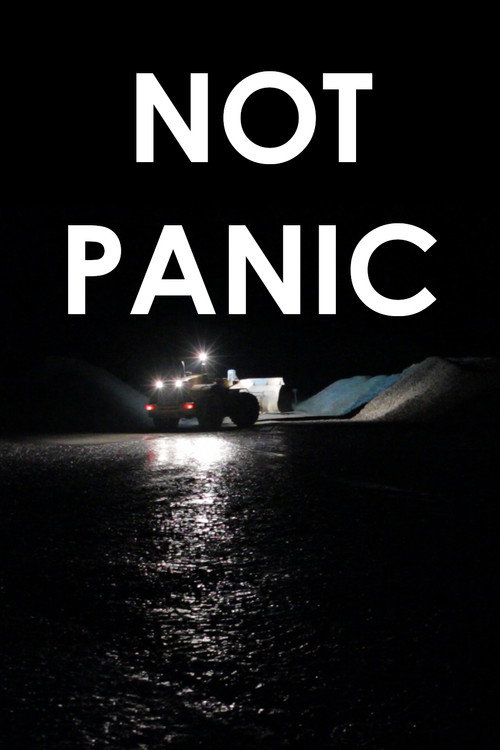 Not Panic (2010) poster