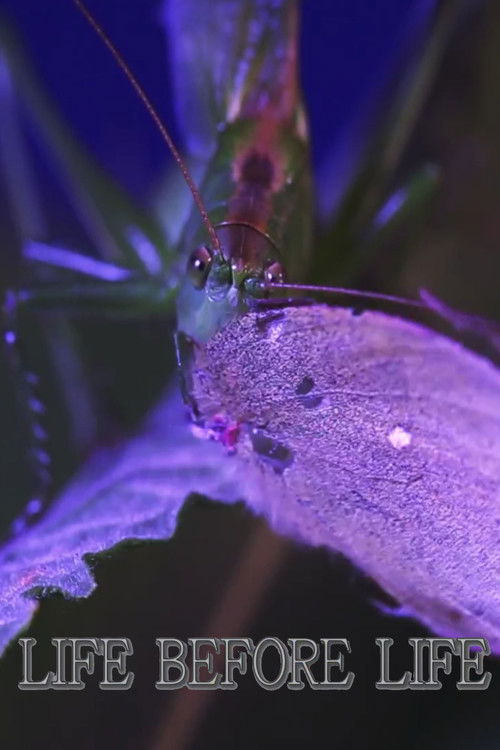 Life Before Life (2017) poster