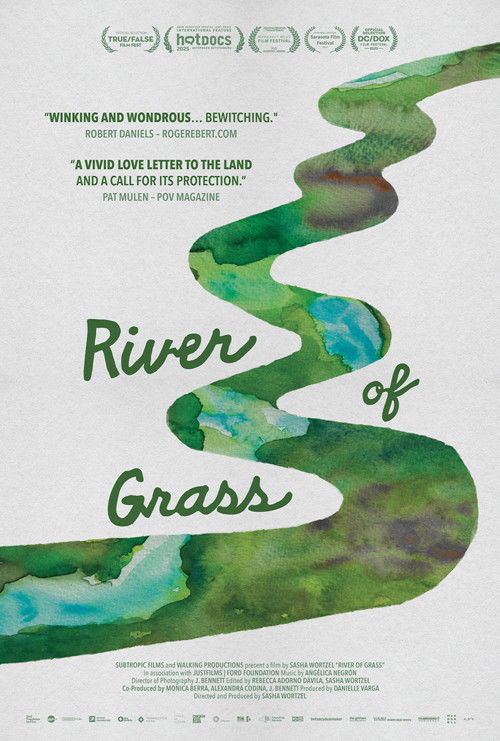 River of Grass (2025) poster