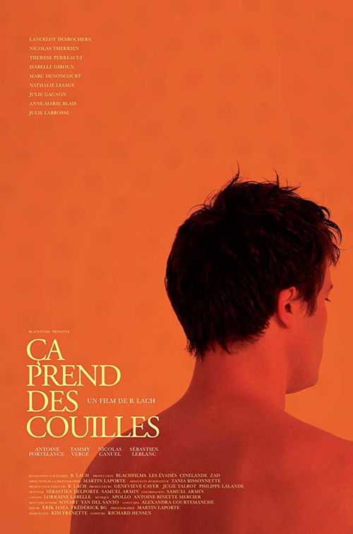 It Takes Balls (2011) poster