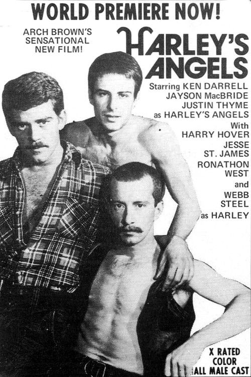 Harley's Angels (1977) poster