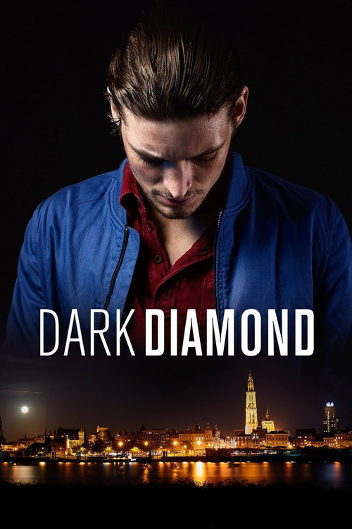Diamant noir (2016) poster