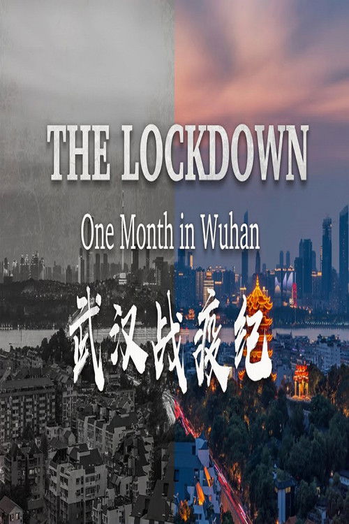 The Lockdown: One Month in Wuhan (2020) poster