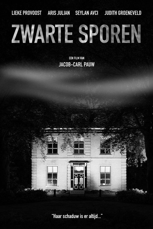 Zwarte Sporen (2024) poster