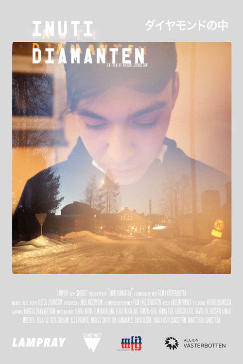 Inside the Diamond (2020) poster