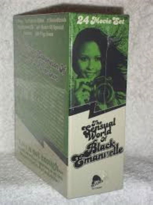 Ajita Wilson: An Elusive Icon (2023) poster