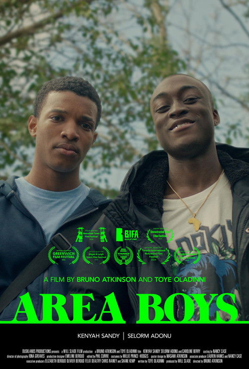 Area Boys (2023) poster