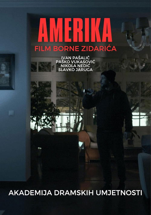 Amerika (2020) poster
