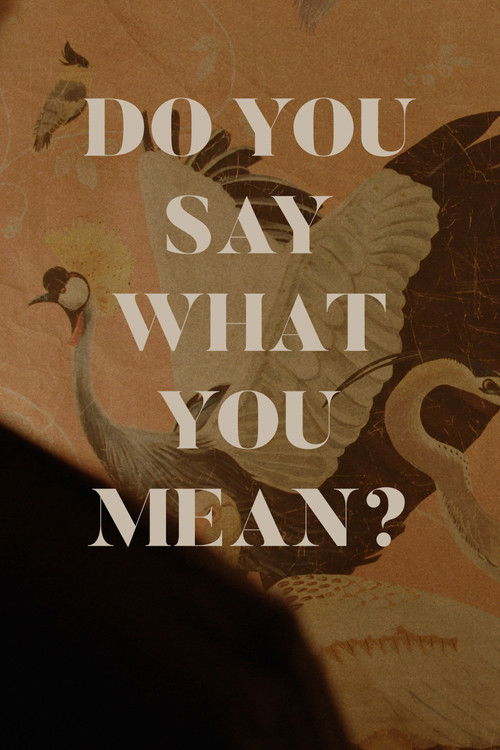 Do You Say What You Mean? (2024) poster