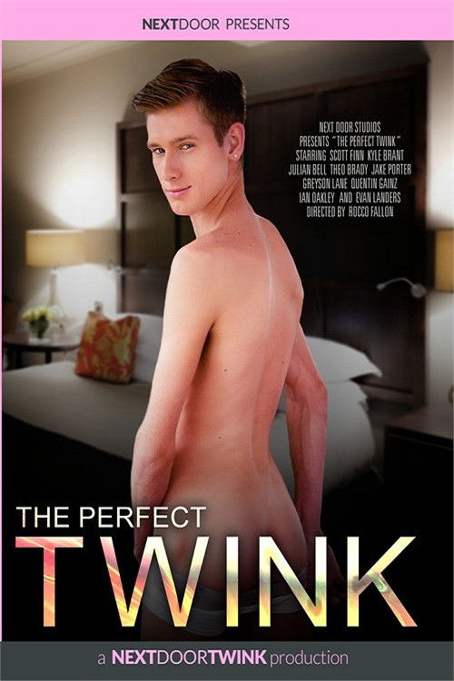 The Perfect Twink (2022) poster