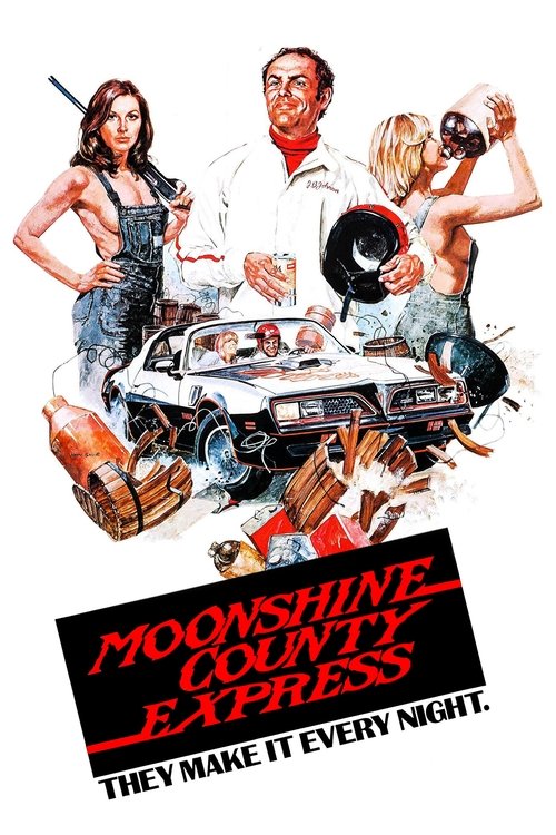 Moonshine County Express (1977) poster
