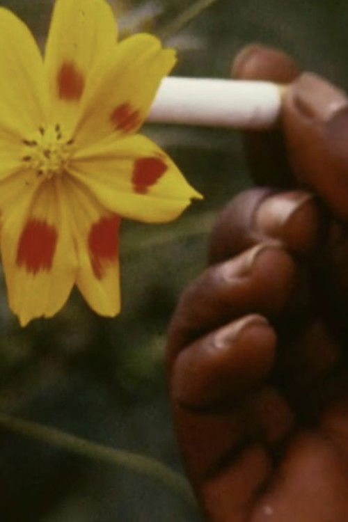 Bruciare (1971) poster