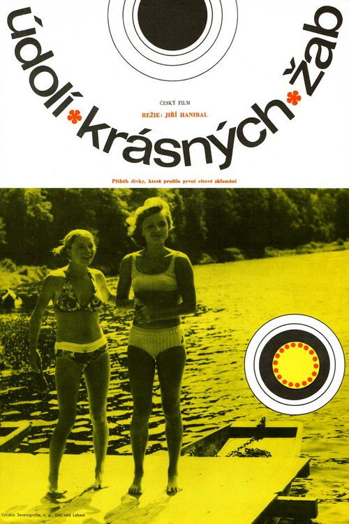 A Valley of Beautiful Frogs (1974) poster