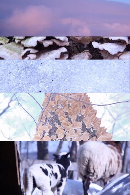 The Things That Make up my Body (2019) poster