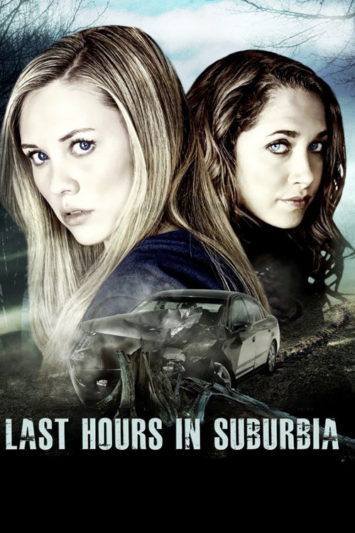 Last Hours in Suburbia (2013) poster