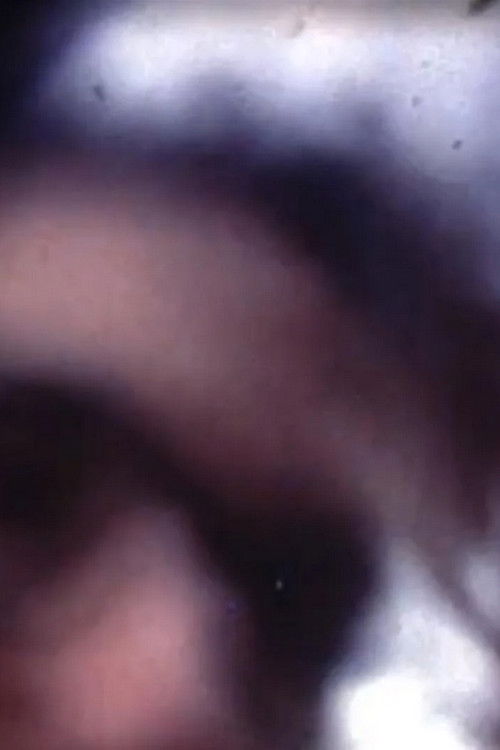 Camera Annihilator (1997) poster