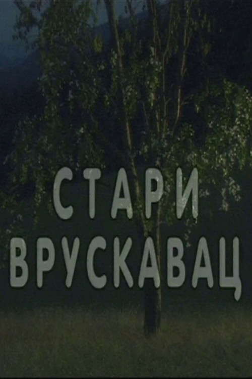 Stari vruskavac (2000) poster
