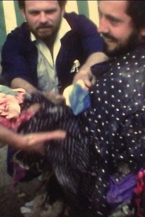 Chutes de Michel Nedjar (1984) poster