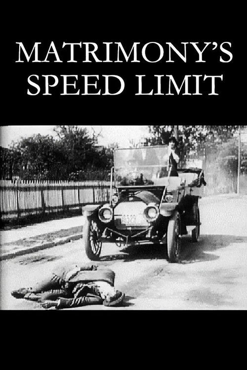 Matrimony's Speed Limit (1913) poster