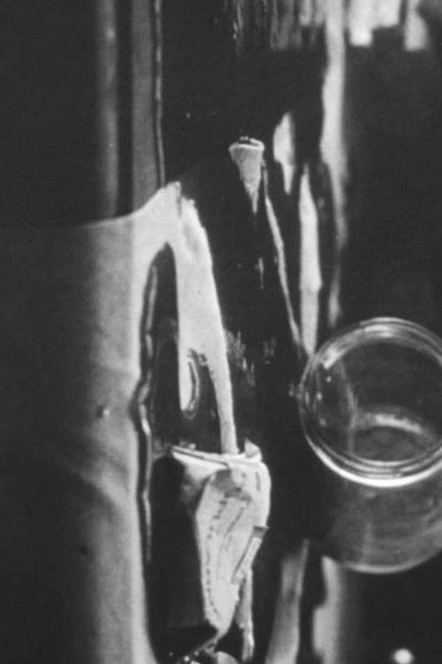 Źródło (1982) poster