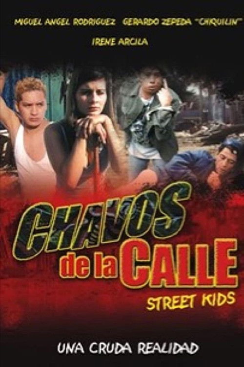 Chavos de La Calle (2001) poster