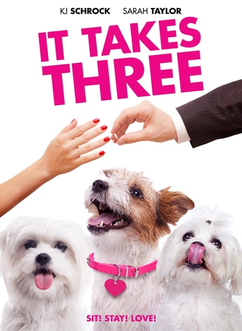 It Takes Three (2019) poster