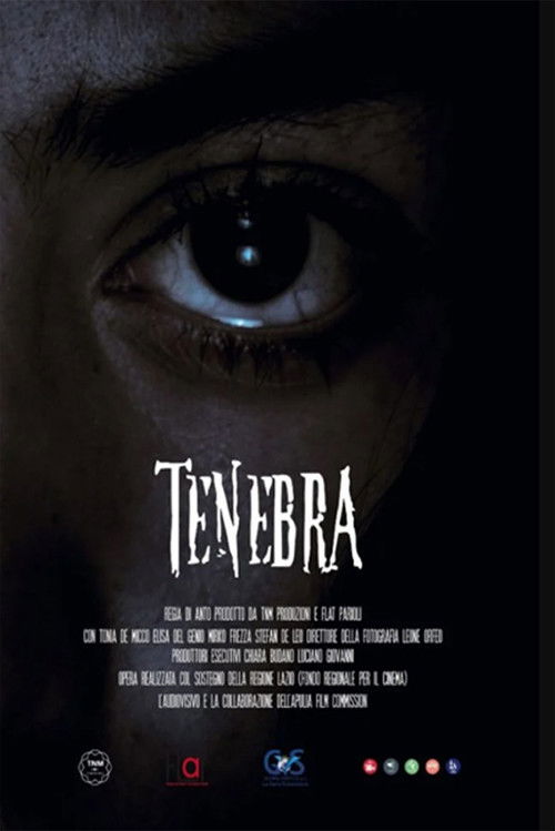 Tenebra (2022) poster