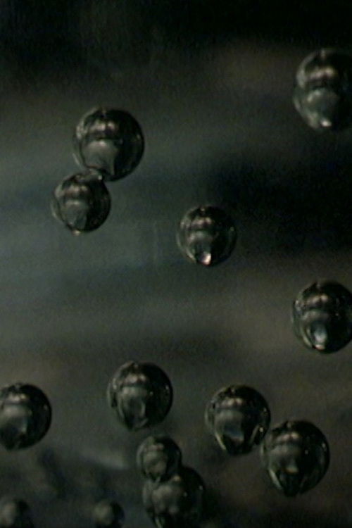 The Salariat in Parts (2009) poster