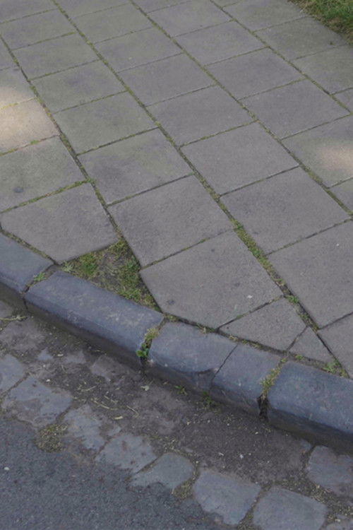 cultuur (2023) poster