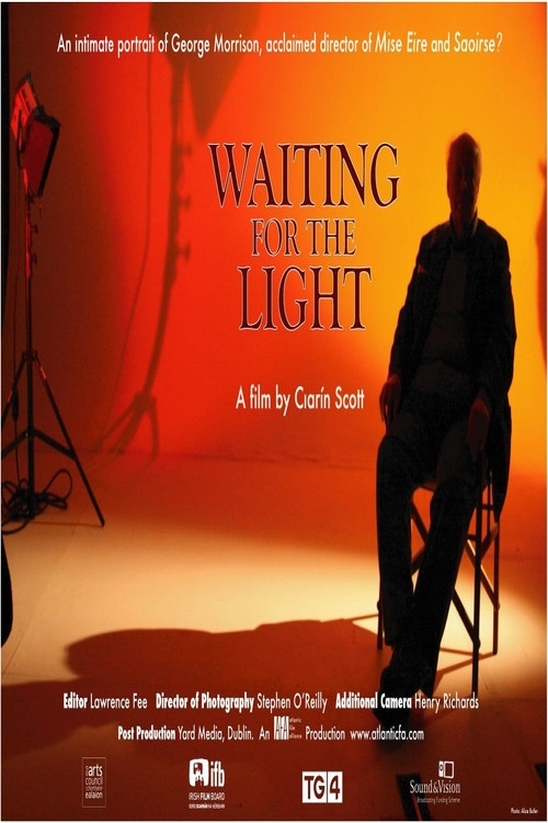 Waiting for the Light (2008) poster