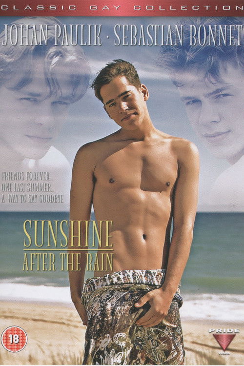 Sunshine After the Rain (1996) poster