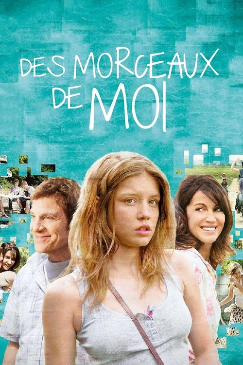 Des morceaux de moi (2013) poster