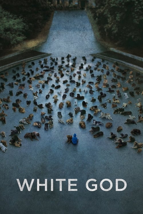 Beyaz Tanrı (2014) poster