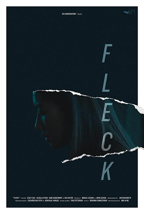 Fleck (2019) poster