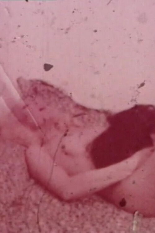 Pubic Hair Ban (2002) poster