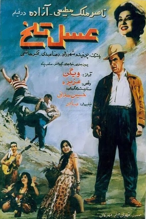 عسل تلخ (1961) poster