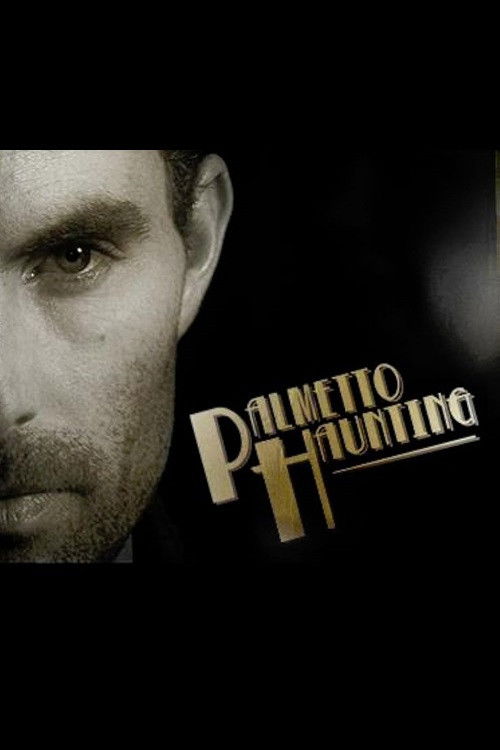 Palmetto Haunting (2010) poster