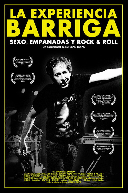 La experiencia Barriga (2013) poster