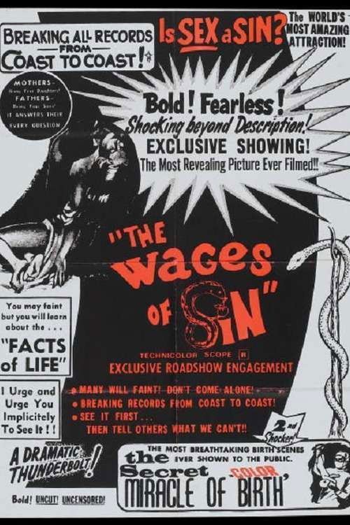 The Secret Miracle of Birth (1971) poster