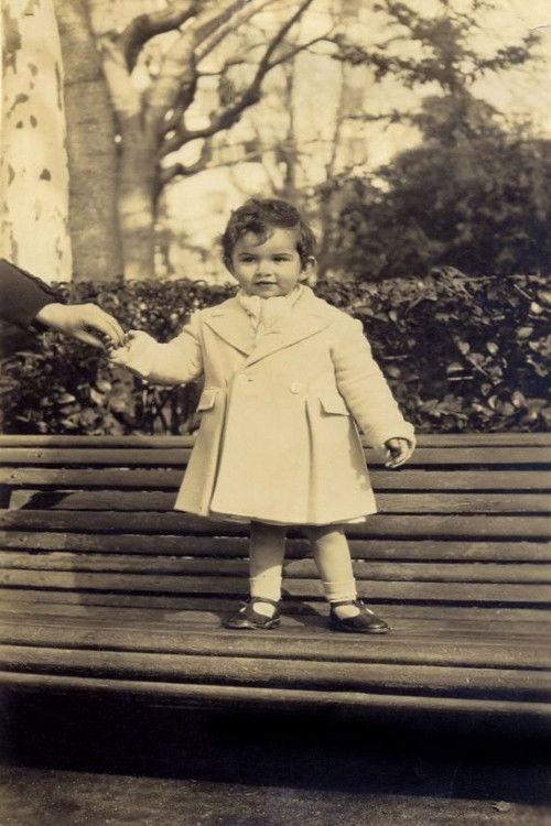 20 years of plastic art, María Esther Palant (1992) poster