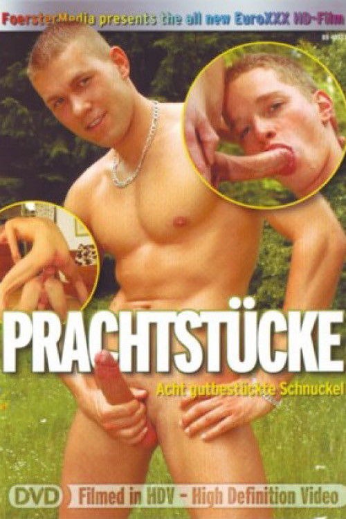 Prachtstücke (2010) poster